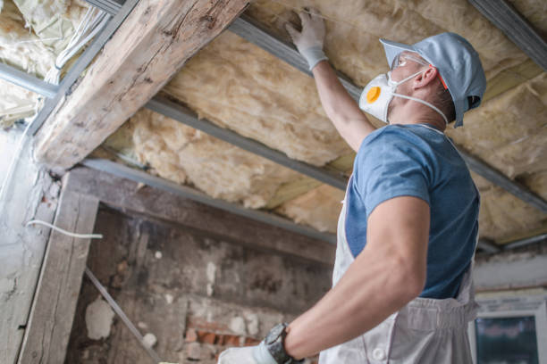 Best Insulation Maintenance and Repair in Corralitos, CA